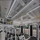 크레이지독스짐 이미지