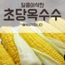 아삭톡톡 네이버블로그