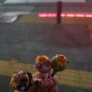 네이바훗도 네이버블로그