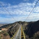 울렁다리 화장실 | 강원도 원주 소금산 그랜드밸리 (출렁다리+울렁다리) 후기