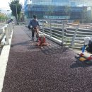 회원동029 이미지