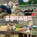 공룡타조랜드 이미지