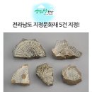 함평 보림정사 목조여래좌상 | 후손에 후손에 후손도 함께 공유할 수 있도록! 전라남도의 문화재를 지켜 나가겠습니다^^
