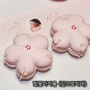 감프롱 | 울산 벚꽃마카롱 맛집 : 감프롱 택배 후기