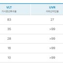 틴팅마스터