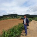 박달4리 Daum카페