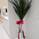 바른우리한의원 이미지