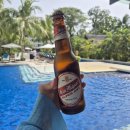 놀고 먹고 자개 | 보홀 헤난 알로나비치 리조트 풀억세스룸 | 물갈이 장염 클리닉 후기