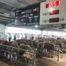 밀양축산업협동조합 이미지