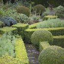 조경기능사 이미지