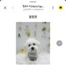 티피살롱