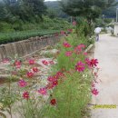 화북초교 용화분교 이미지