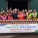 고향마늘