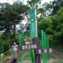 일등분동