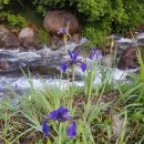 앉은바위 하우스 이미지