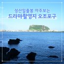 식산봉의 황근자생지 및 상록활엽수림 | 제주 성산일출봉 마주보는 드라마 촬영지 오조포구