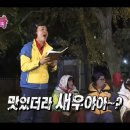 독도회타운
