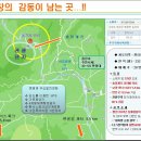 흥정리 이미지