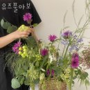 청두곶8길 10 이미지