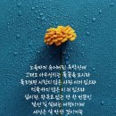 위로가 필요한 사람들에게 희망을 주는 시 - 지친 그대여 / 안재식 이미지