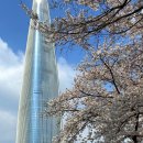 상반기 석촌호수 주말버스킹 | 오늘 잠실 석촌호수 벚꽃축제 방문 후기 실시간 개화 상황