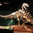 모노로포사우루스 이미지