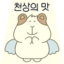 화월풀빌라 이미지