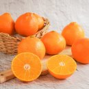 (주)더조은 이미지