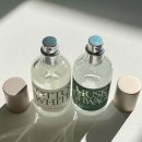 화이트코튼 | 다이소 향수 데일리콤마 모스트 오드 퍼퓸 코튼화이트 머스트무화과 내돈내산 구매 후기