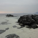 홍조바다 이미지