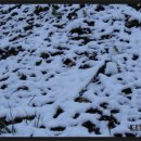 덕분농장 이미지