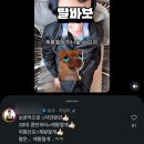 11545-12-37-36 | 임신기록｜임신말기증상(31-37주차) 막달검사 배크기 선택제왕 가진통 막달태동 출산준비