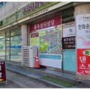 홍주약국 네이버블로그