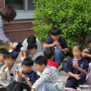 삼성초등학교 네이버블로그