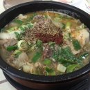 속초아바이신다신