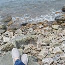 카젠신방점 이미지