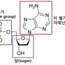 신진수퍼 이미지