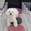 하울팟 위례점 이미지