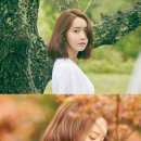 지니 민박 이미지