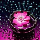 옷목욕탕 이미지