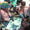 숲해설체험 이미지