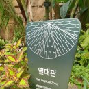 서울 식물원 이미지