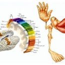 리투퍼 운동센터 이미지