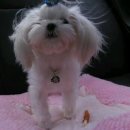 낙원펜션 이미지