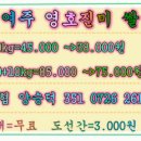 여주-0726 이미지