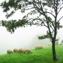 동화목장 이미지