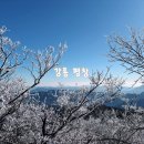 봉평할인정육점 | 강릉 평창 2박 3일 여행 평창 디저트 대관령 감자빵 평창 가볼만한 곳 월정사 평창 한우 맛집 평창한우마을