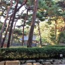 솔밭약국 이미지