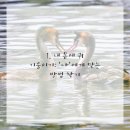 이야기한의원 이미지