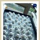 홈베이킹(오전) 이미지